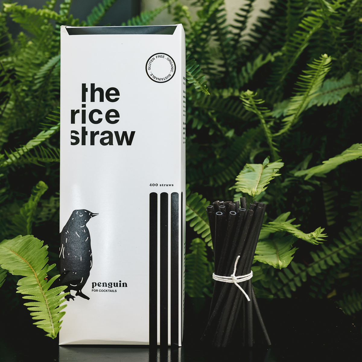 http://www.thericestraw.pt/cdn/shop/products/03.png?v=1677758655